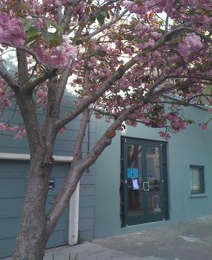 Movement Lab's sage-green studio entrance on Treat Avenue under a blossoming cherry tree